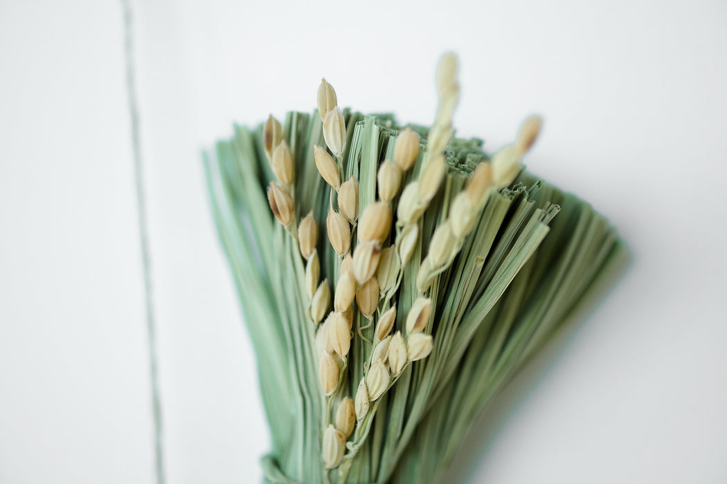 稲藁研究所｜稲わら飾り 円成