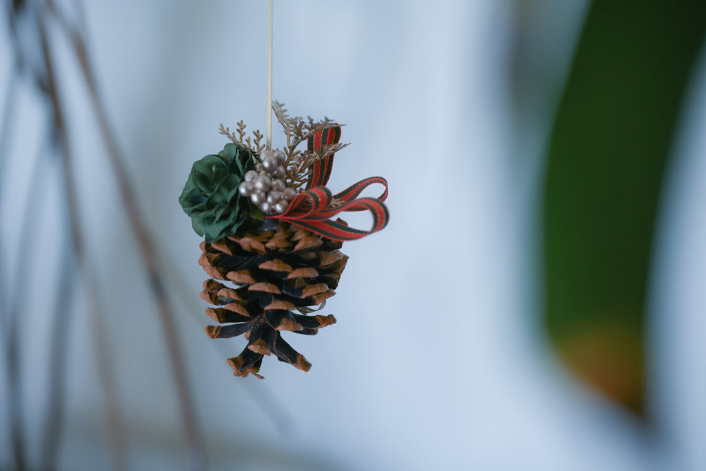 松ぼっくり DSC_4752_1024x1024.jpg?v=